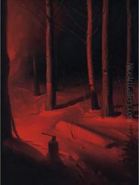 Nocturnal Forest - view 1