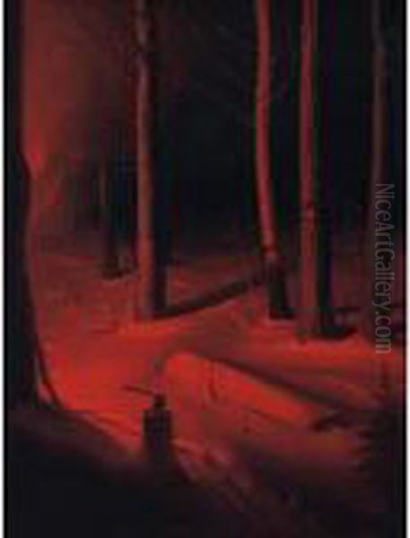 "nocturnal Forest" - view 1