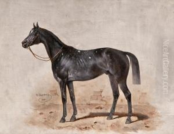 Motif With Horse - view 1