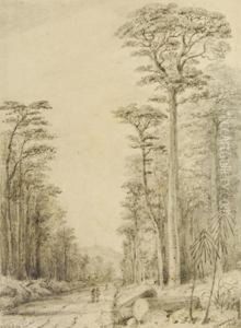 Road Through The Birch Forest
