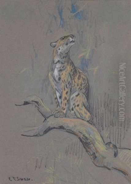 A Leopard On A Branch - view 1