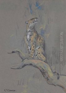 A Leopard On A Branch by Cuthbert Edmund Swan