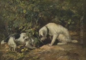 Terriers On The Hunt, Furrowing In A Hole by Cuthbert Edmund Swan