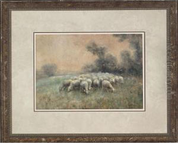 Sheep In A Pasture - view 1