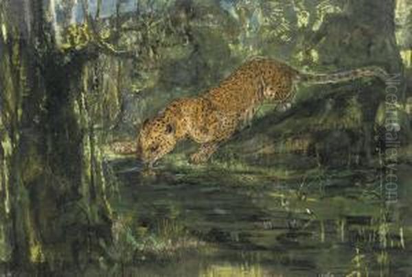 Leopard Drinking From A Stream In The Jungle - view 1