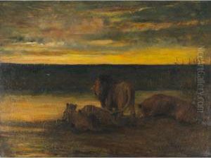 Lions Drinking - Sunset, On The Veldt Lions Drinking - Sunset, On The Veldt