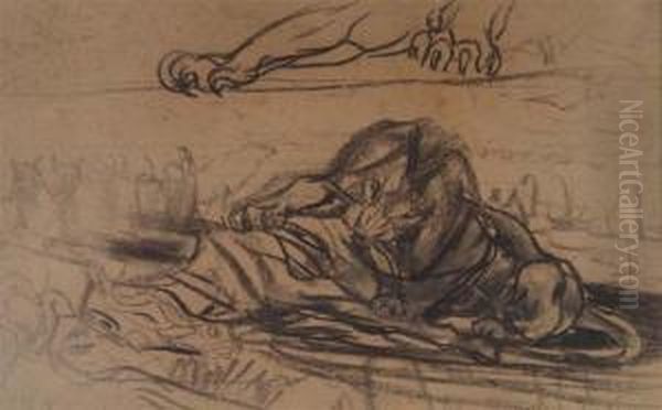 Study Of A Lion - view 1