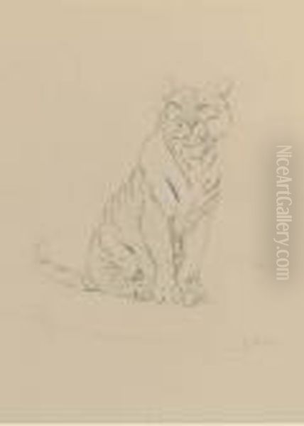 Study Of A Tiger - view 1