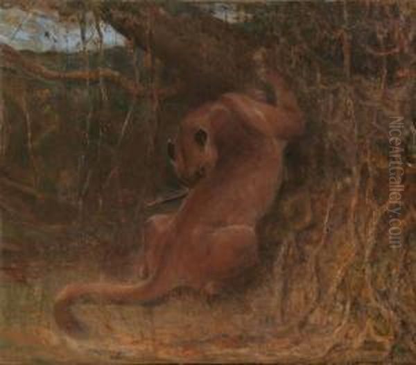 Puma In Jungle - view 1