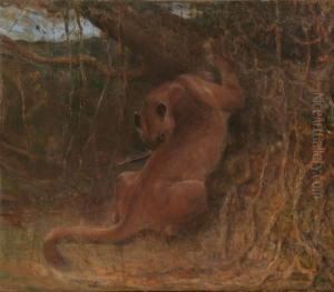 Puma In Jungle by John Macallan Swan