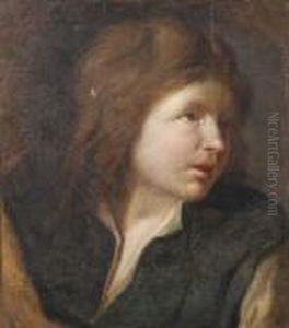 Portrait Of Aboy by Michiel Sweerts