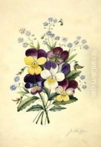 Cistine?, The Natural Order Of Cistus Or Rock-rose