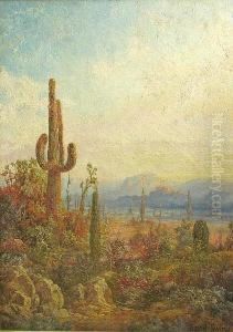 Land Of Cacti