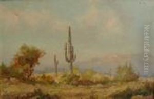 Southwestern Landscape With Cactus