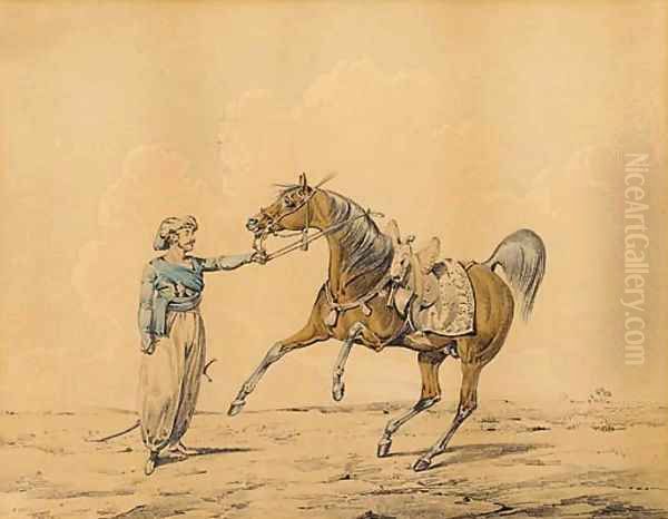 An Arab horse in a landscape - view 1