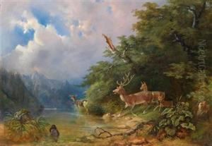 Rotwildrudel Am Seeufer