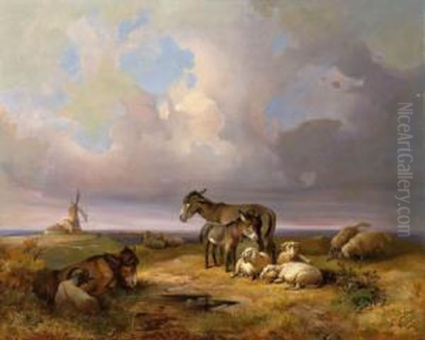 Weite Landschaft Mit Schafen - view 1