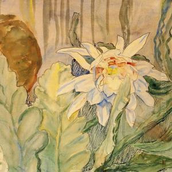 A Blooming Cactus - view 1