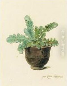 A Succulent In A Pot by Arnoldus Syens