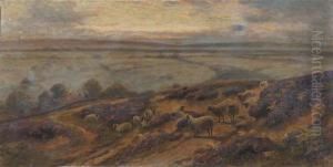 A Wooded River Landscape by John Syer