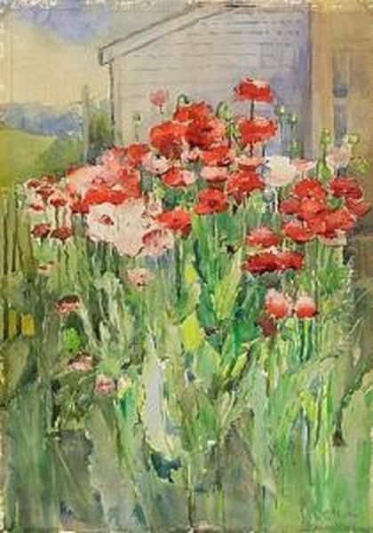 Poppies - view 1