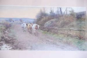 British Cattle by Henry Sykes