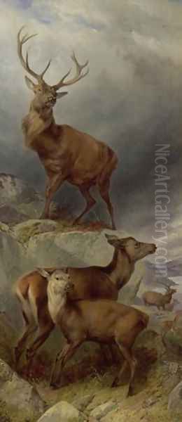 The Deer Forest - view 1