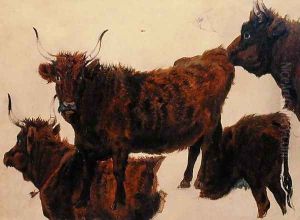 Studies of Highland Cattle by Richard Ansdell