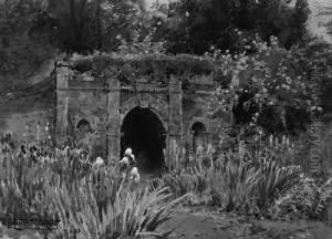 The Lily Garden by John Sylvester