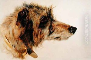 Head of a Dog by Richard Ansdell