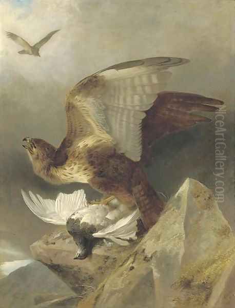 A buzzard with a ptarmigan in a highland landscape - view 1