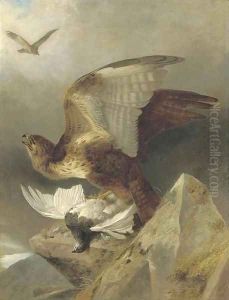 A buzzard with a ptarmigan in a highland landscape by Richard Ansdell