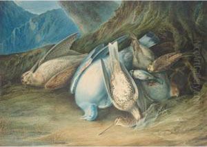 Still Life Of Dead Game by Patrick Syme