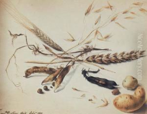 Still Life by Patrick Syme