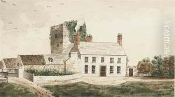 Ballybrittain Castle - view 1