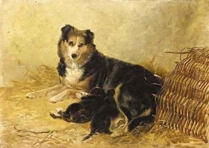 A collie and puppies