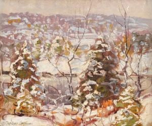 Winter Landscape
