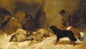 Lost, a shepherd with a dog and sheep in a snowy landscape Lost, a shepherd with a dog and sheep in a snowy landscape