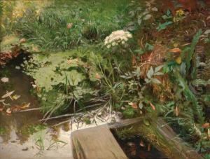 ''the Pond'' by Mark Lancelot Symons