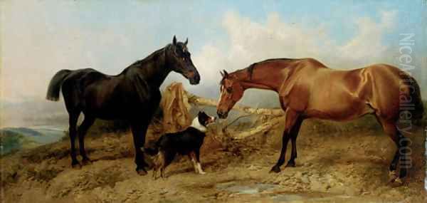 The Artist's Pets - view 1