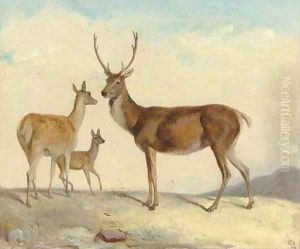 The hart Samson, the hind Delilah and the calf Judith, in a highland landscape by Richard Ansdell