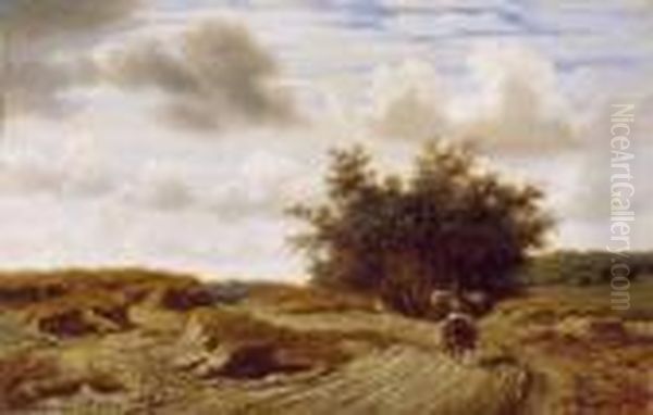 Homeward Bound - view 1