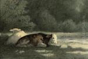Cows On The Riverbank