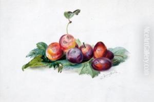 Martwa Natura Ze Sliwkami
