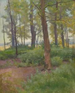 Tisza Parti Fak by Lajos Szlanyi