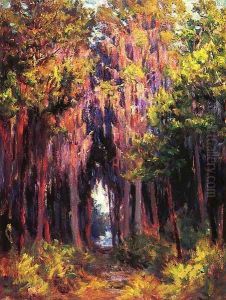 Hanging Moss, St. Petersburg by John Ottis Adams
