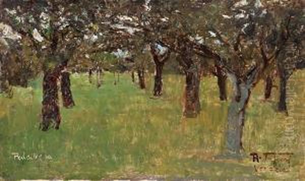 Bosque - view 1