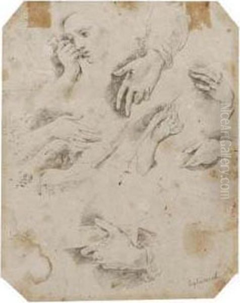 Studi Per Il Transito Di San Giuseppe - view 1