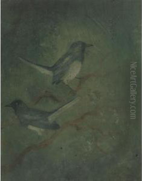 Birds - view 1