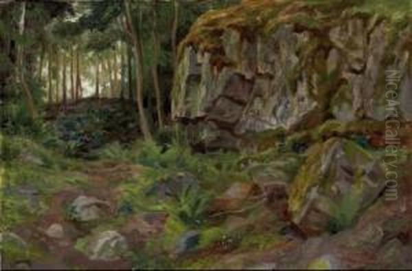 Bosque De Galicia - view 1